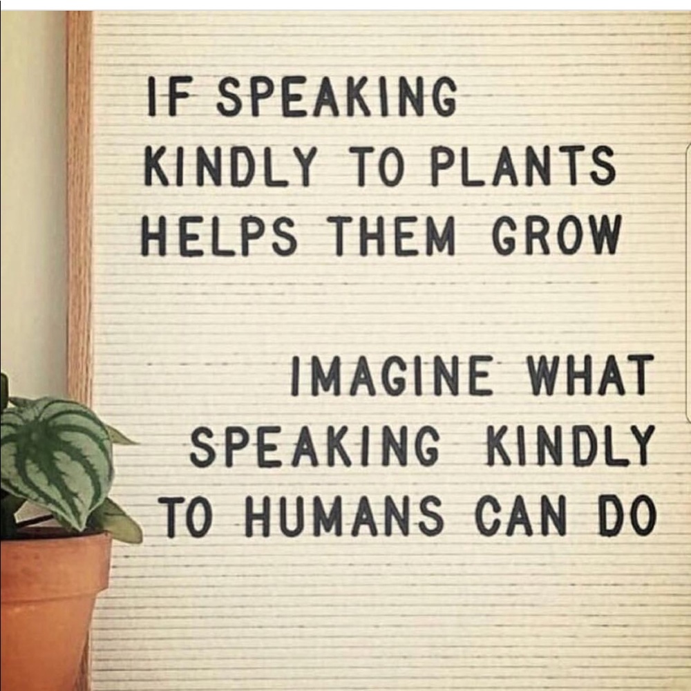 Meet your Posher, Wendy